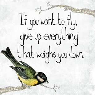 pixabay-motivational-quote-fly-bird-free-goals-dreams